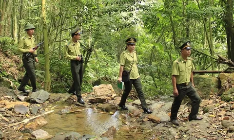 Hiệu quả liên kết bảo vệ rừng giáp ranh