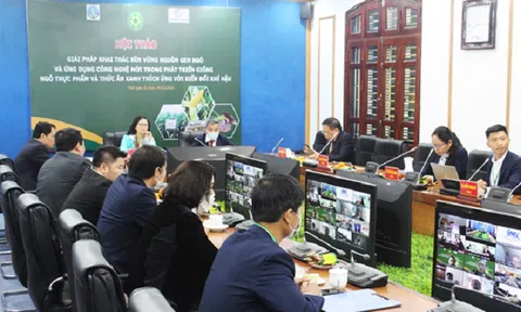 Hội thảo 'Giải pháp khai thác bền vững nguồn gen ngô và ứng dụng công nghệ mới trong phát triển giống ngô thực phẩm và thức ăn xanh thích ứng với biến đổi khí hậu'