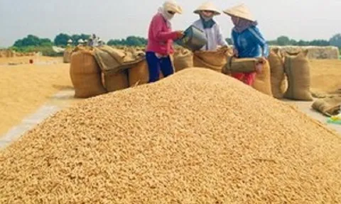 Ai Len đứng đầu trong Chỉ số An ninh Lương thực Toàn cầu, Canada vượt qua Mỹ
