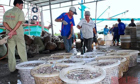 Khai thác gắn với bảo tồn nguồn lợi thủy sản