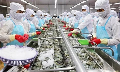 Ngành Thủy sản tăng tốc sản xuất đáp ứng nhu cầu cuối năm