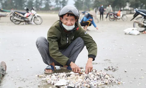 Ra biển mùa gió chướng, người dân Hà Tĩnh hứng 'mưa sò huyết'