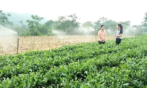 Nông dân và công nghệ số