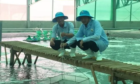 Nuôi biển, hướng đi chiến lược của ngành thủy sản