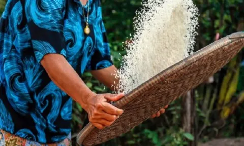 Tăng vựa lúa toàn cầu mà không gây hại cho hành tinh