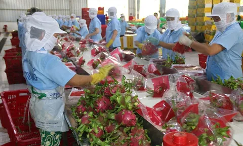 Thích ứng tiêu chuẩn mới về xuất khẩu nông sản