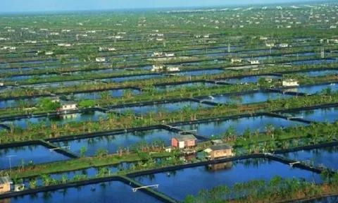 Indonesia đặt mục tiêu thành lập mạng lưới "làng nuôi trồng thủy sản"