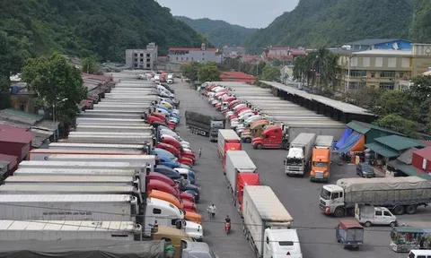 Thủ tướng chỉ đạo lập nhóm công tác tiếp tục giải quyết vấn đề ách tắc hàng hóa tại cửa khẩu biên giới
