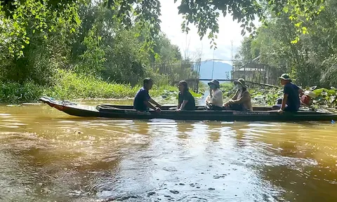 An Giang khai thác thế mạnh du lịch vùng sinh thái ngập nước