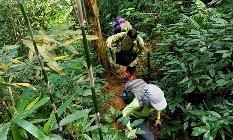 Khu bảo tồn thiên nhiên Pù Luông: khó khăn càng lớn, tinh thần càng cao