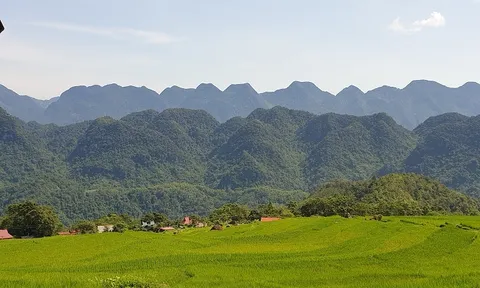 Du lịch sinh thái: Đón tín hiệu khi dịch Covid-19 “đảo chiều”