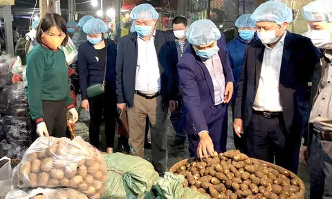 Giữ 'sạch' nguồn cung nông sản