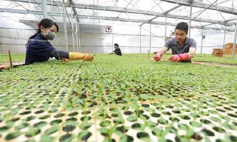 Gỡ khó để phát triển hợp tác xã