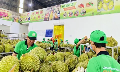 Khơi thông xuất khẩu nông sản qua đường biển