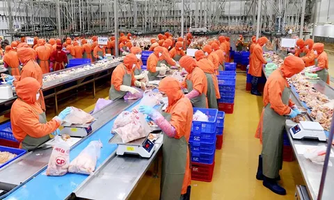 Kiểm soát các cơ sở giết mổ gia súc, gia cầm: Bảo đảm nguồn thực phẩm an toàn