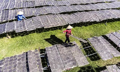 Làng nghề vào xuân