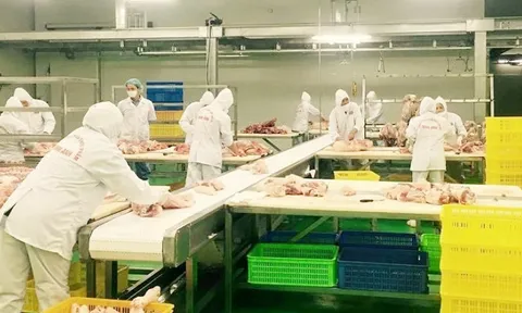 Tăng kết nối tiêu thụ nông sản dịp Tết