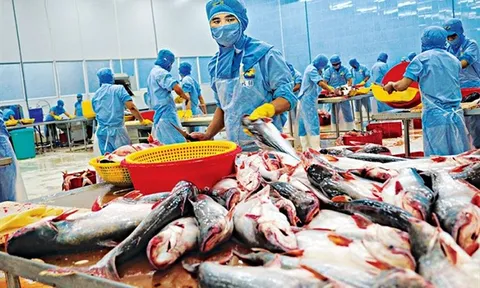 Sản xuất, chế biến thủy sản Việt Nam năm 2022: Thách thức ở phía trước