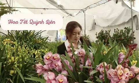 Từ đam mê lan đến bà chủ vườn lan Trần Mộng tại Sapa