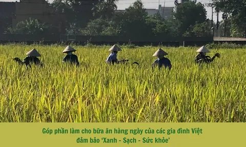 Hợp tác xã nông nghiệp Đức Nghĩa – làm nông nghiệp với “Đức” và “Nghĩa”