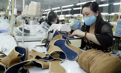 Fitch Solutions: Kinh tế Việt Nam sẽ tăng trưởng 'vượt xu hướng' trong năm 2022