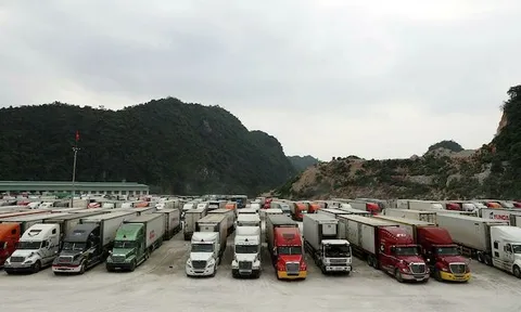 Nguyên nhân nào khiến nông sản lại ‘án binh bất động’ ở cửa khẩu Lạng Sơn?