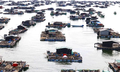 Khai thác, nuôi trồng thủy sản theo hướng bền vững