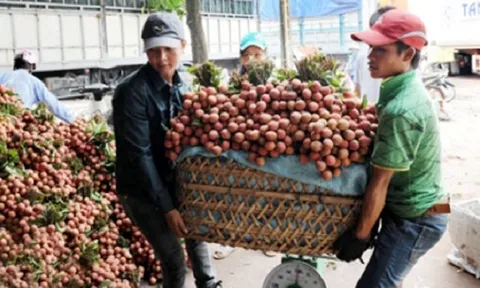 Phát huy Giá trị chỉ dẫn địa lý