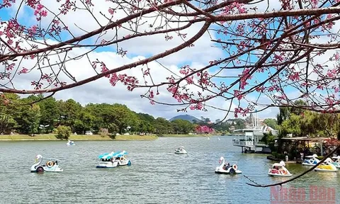 Tận dụng thời cơ để phục hồi ngành du lịch