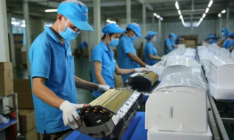 Năm 2022: Tiếp cận lạc quan