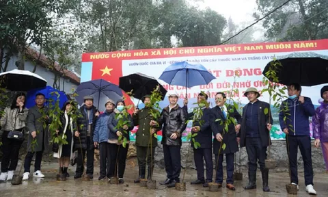 Trồng 100.000 cây gỗ quý tại Vườn Quốc gia Ba Vì