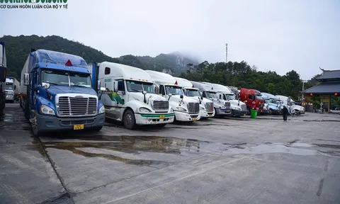Vẫn còn hơn 1.800 xe hàng hoá tồn ở cửa khẩu Lạng Sơn