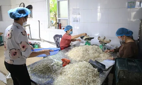 Đòn bẩy chuyển dịch cơ cấu kinh tế nông thôn