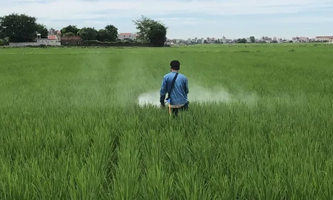 Công bố phát hành chuỗi video hướng dẫn sử dụng thuốc bảo vệ thực vật an toàn, hiệu quả