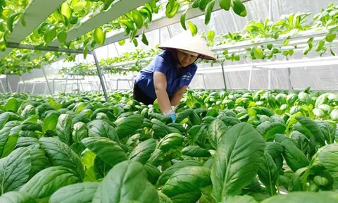 Việt Nam hướng tới nền nông nghiệp công nghệ cao