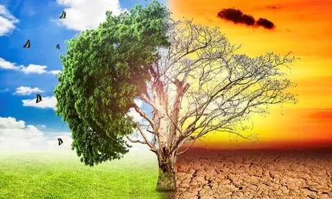 Kỉ niệm 72 năm Ngày Khí tượng Thế giới 23/3/1950 - 23/03/2022