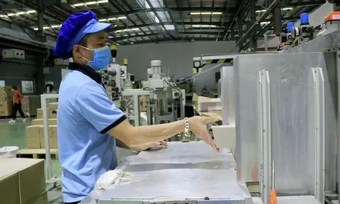 WB lo rủi ro từ quan hệ Nga – Ukraina, chuyên gia nói kinh tế Việt Nam “đủ nguồn lực mạnh”