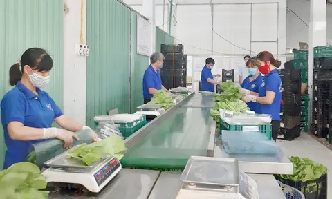 Tạo cầu nối liên kết trong nông nghiệp