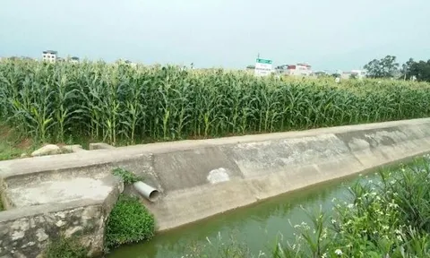 Quy định xã nông thôn mới kiểu mẫu giai đoạn 2021 – 2025