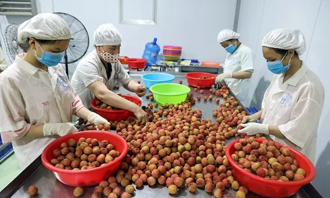 Xây dựng nông thôn mới bằng "hai chân" tại Bắc Giang