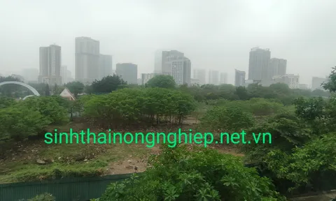 Tập đoàn GFS: Có chậm triển khai dự án Five Star Residence không?