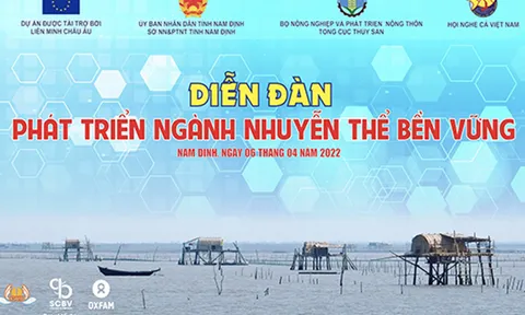Phát triển ngành Nhuyễn thể bền vững, nâng cao hiệu quả của kinh tế biển
