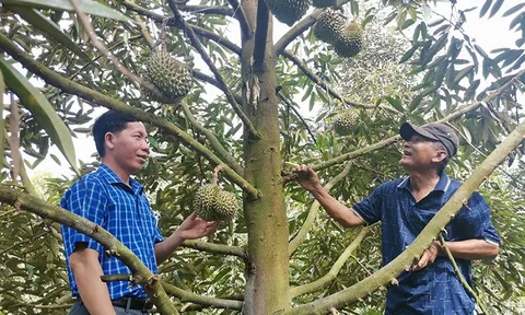 Đổi mới tư duy trong sản xuất nông nghiệp