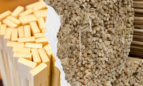 “Lợi bất cập hại” từ đũa gỗ dùng một lần