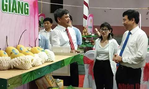 Kết nối sản phẩm OCOP vùng đồng bằng sông Cửu Long