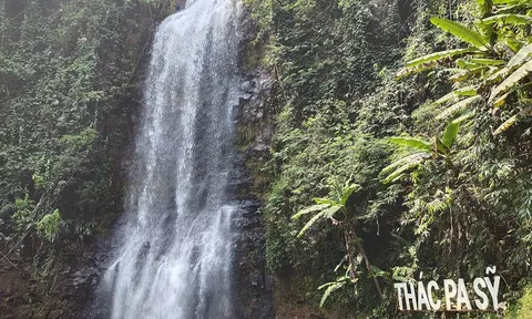 Tháng 3 Tây Nguyên, mùa con ong đi lấy mật