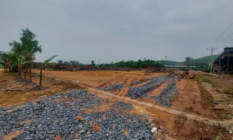 Nghệ An: Hàng loạt xưởng chế biến chè không phép hoạt động trên đất nông nghiệp