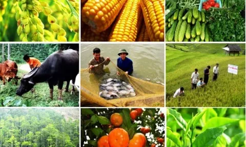 Ba tháng đầu năm 2022, khu vực nông, lâm nghiệp và thủy sản đóng góp 5,76% vào mức tăng trưởng chung