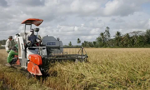 Phát triển bền vững vùng đồng bằng sông Cửu Long