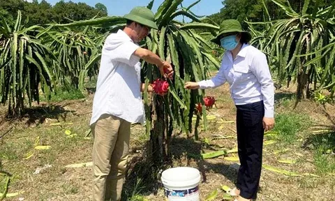 Quảng Ninh quyết tâm chuyển đổi số trong nông nghiệp